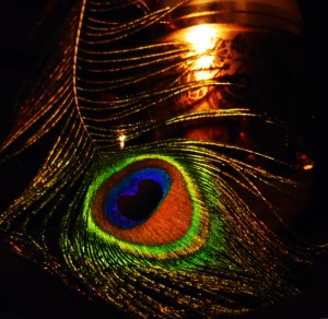 Peacock and Glass - This one is my favorite. I like how the peacock feather just gently lays against the glass decanter. The opposing textures provide a beautiful effect. *PSE